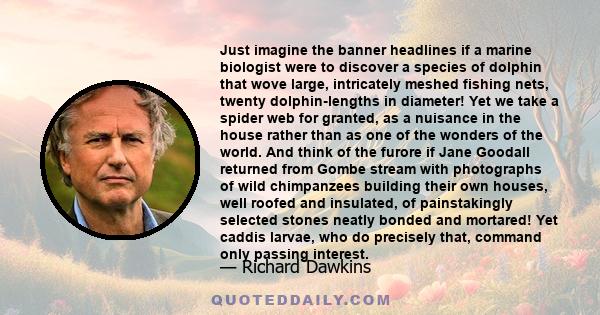 Just imagine the banner headlines if a marine biologist were to discover a species of dolphin that wove large, intricately meshed fishing nets, twenty dolphin-lengths in diameter! Yet we take a spider web for granted,