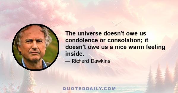 The universe doesn't owe us condolence or consolation; it doesn't owe us a nice warm feeling inside.