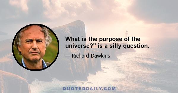 What is the purpose of the universe? is a silly question.