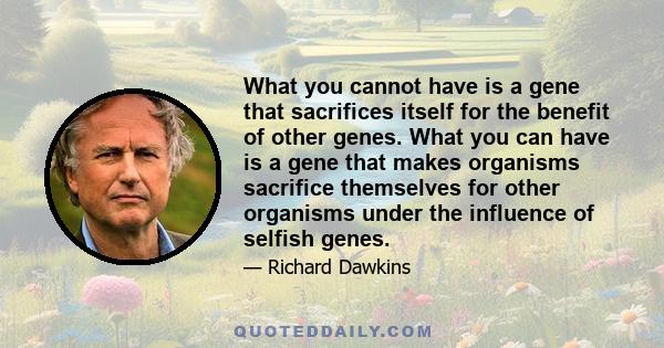 What you cannot have is a gene that sacrifices itself for the benefit of other genes. What you can have is a gene that makes organisms sacrifice themselves for other organisms under the influence of selfish genes.