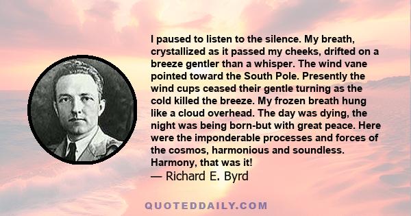 I paused to listen to the silence. My breath, crystallized as it passed my cheeks, drifted on a breeze gentler than a whisper. The wind vane pointed toward the South Pole. Presently the wind cups ceased their gentle