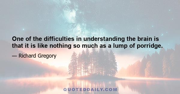 One of the difficulties in understanding the brain is that it is like nothing so much as a lump of porridge.