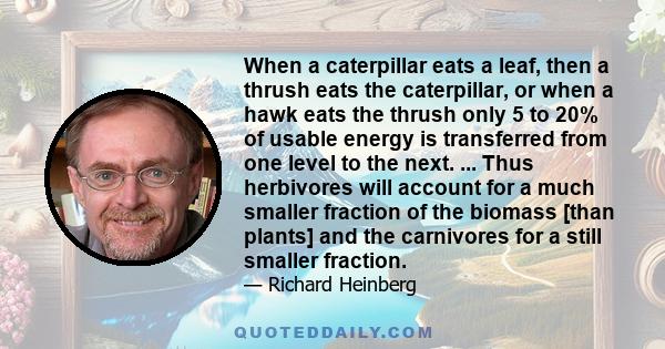 When a caterpillar eats a leaf, then a thrush eats the caterpillar, or when a hawk eats the thrush only 5 to 20% of usable energy is transferred from one level to the next. ... Thus herbivores will account for a much