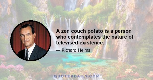 A zen couch potato is a person who contemplates the nature of televised existence.