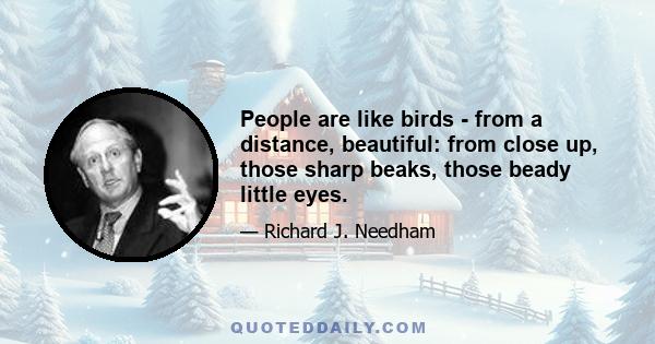 People are like birds - from a distance, beautiful: from close up, those sharp beaks, those beady little eyes.