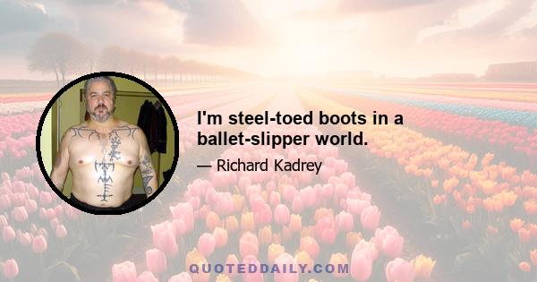 I'm steel-toed boots in a ballet-slipper world.