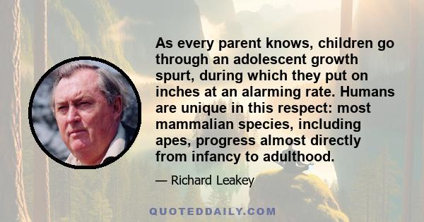 As every parent knows, children go through an adolescent growth spurt, during which they put on inches at an alarming rate. Humans are unique in this respect: most mammalian species, including apes, progress almost