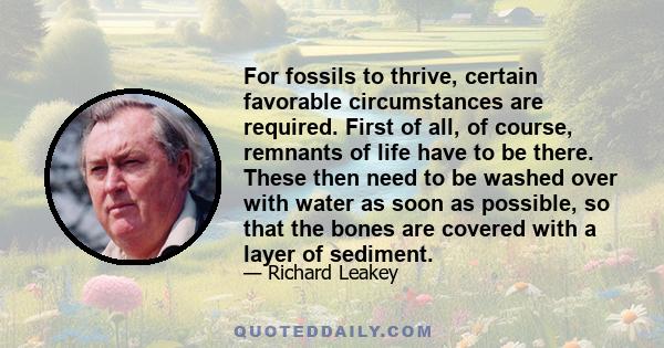 For fossils to thrive, certain favorable circumstances are required. First of all, of course, remnants of life have to be there. These then need to be washed over with water as soon as possible, so that the bones are