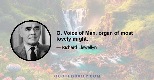 O, Voice of Man, organ of most lovely might.