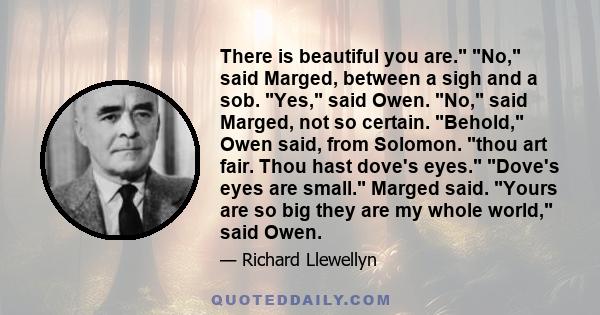 There is beautiful you are. No, said Marged, between a sigh and a sob. Yes, said Owen. No, said Marged, not so certain. Behold, Owen said, from Solomon. thou art fair. Thou hast dove's eyes. Dove's eyes are small.