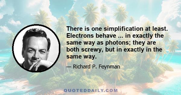 There is one simplification at least. Electrons behave ... in exactly the same way as photons; they are both screwy, but in exactly in the same way.