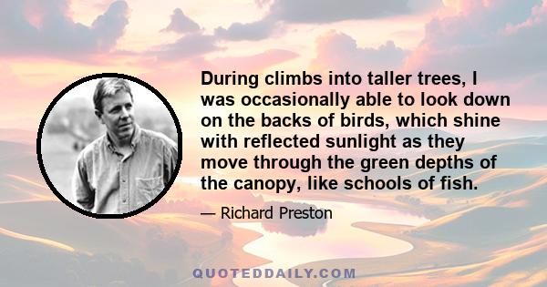 During climbs into taller trees, I was occasionally able to look down on the backs of birds, which shine with reflected sunlight as they move through the green depths of the canopy, like schools of fish.