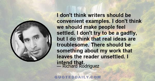 I don't think writers should be convenient examples. I don't think we should make people feel settled. I don't try to be a gadfly, but I do think that real ideas are troublesome. There should be something about my work