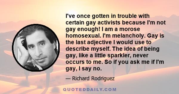 I've once gotten in trouble with certain gay activists because I'm not gay enough! I am a morose homosexual. I'm melancholy. Gay is the last adjective I would use to describe myself. The idea of being gay, like a little 