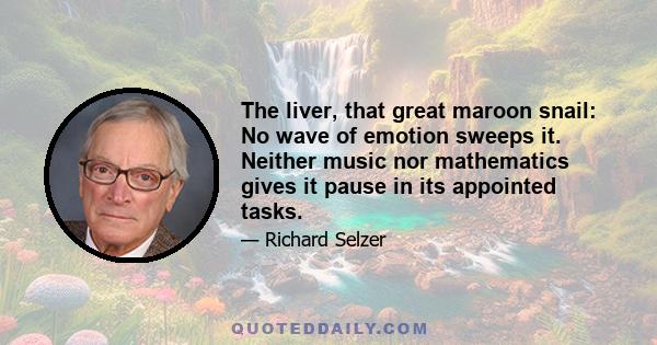 The liver, that great maroon snail: No wave of emotion sweeps it. Neither music nor mathematics gives it pause in its appointed tasks.