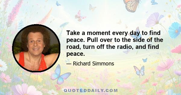 Take a moment every day to find peace. Pull over to the side of the road, turn off the radio, and find peace.