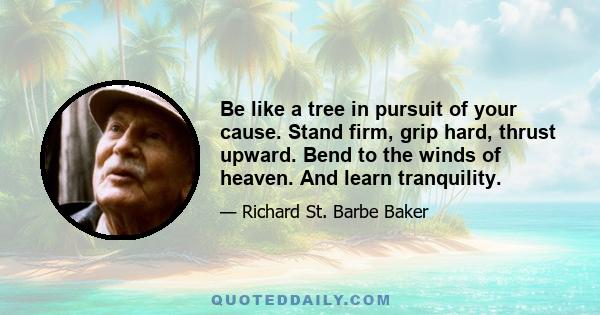 Be like a tree in pursuit of your cause. Stand firm, grip hard, thrust upward. Bend to the winds of heaven. And learn tranquility.