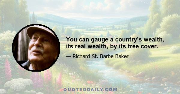 You can gauge a country's wealth, its real wealth, by its tree cover.