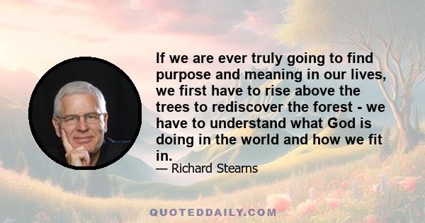 If we are ever truly going to find purpose and meaning in our lives, we first have to rise above the trees to rediscover the forest - we have to understand what God is doing in the world and how we fit in.