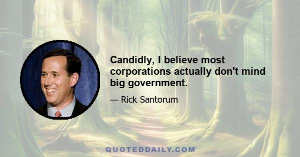 Candidly, I believe most corporations actually don't mind big government.