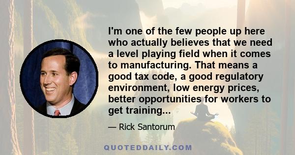 I'm one of the few people up here who actually believes that we need a level playing field when it comes to manufacturing. That means a good tax code, a good regulatory environment, low energy prices, better