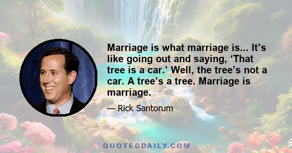 Marriage is what marriage is... It’s like going out and saying, ‘That tree is a car.’ Well, the tree’s not a car. A tree’s a tree. Marriage is marriage.