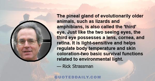 The pineal gland of evolutionarily older animals, such as lizards and amphibians, is also called the 'third' eye. Just like the two seeing eyes, the third eye possesses a lens, cornea, and retina. It is light-sensitive