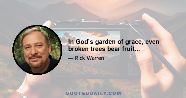 In God’s garden of grace, even broken trees bear fruit...