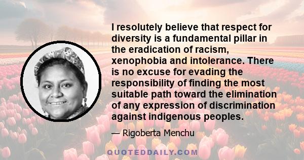 I resolutely believe that respect for diversity is a fundamental pillar in the eradication of racism, xenophobia and intolerance. There is no excuse for evading the responsibility of finding the most suitable path