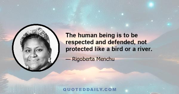 The human being is to be respected and defended, not protected like a bird or a river.