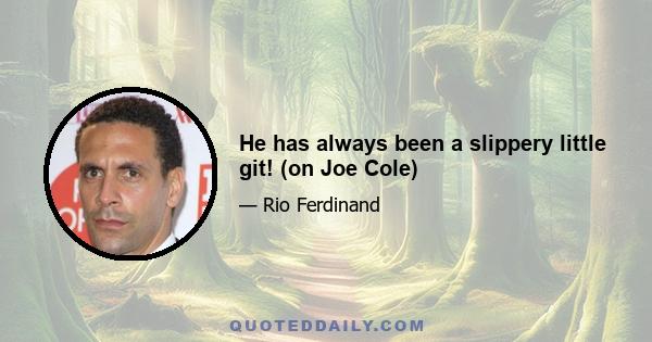 He has always been a slippery little git! (on Joe Cole)