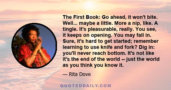 The First Book: Go ahead, it won't bite. Well... maybe a little. More a nip, like. A tingle. It's pleasurable, really. You see, it keeps on opening. You may fall in. Sure, it's hard to get started; remember learning to