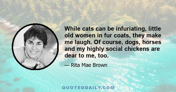 While cats can be infuriating, little old women in fur coats, they make me laugh. Of course, dogs, horses and my highly social chickens are dear to me, too.