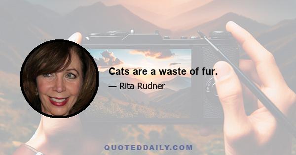 Cats are a waste of fur.