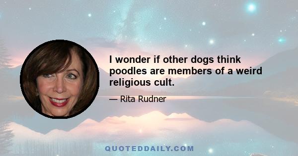 I wonder if other dogs think poodles are members of a weird religious cult.