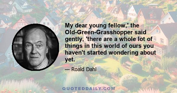 My dear young fellow,' the Old-Green-Grasshopper said gently, 'there are a whole lot of things in this world of ours you haven't started wondering about yet.