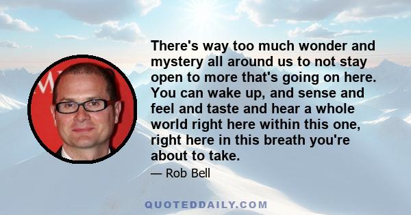 There's way too much wonder and mystery all around us to not stay open to more that's going on here. You can wake up, and sense and feel and taste and hear a whole world right here within this one, right here in this