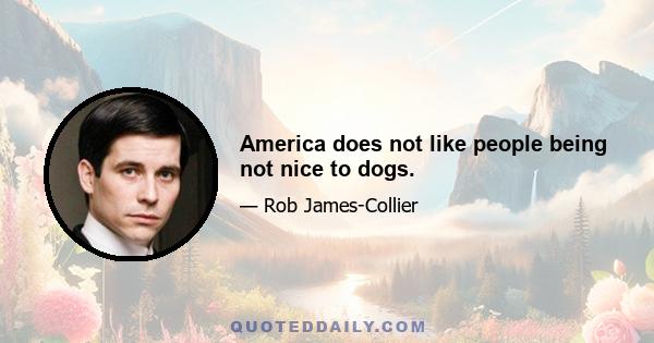 America does not like people being not nice to dogs.