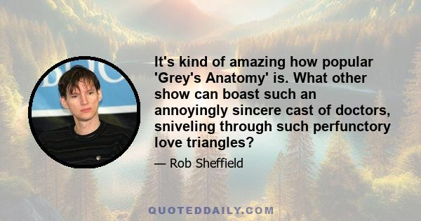 It's kind of amazing how popular 'Grey's Anatomy' is. What other show can boast such an annoyingly sincere cast of doctors, sniveling through such perfunctory love triangles?