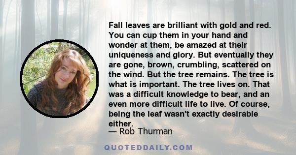 Fall leaves are brilliant with gold and red. You can cup them in your hand and wonder at them, be amazed at their uniqueness and glory. But eventually they are gone, brown, crumbling, scattered on the wind. But the tree 