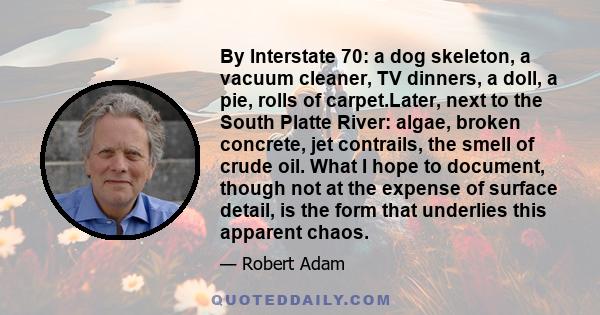 By Interstate 70: a dog skeleton, a vacuum cleaner, TV dinners, a doll, a pie, rolls of carpet.Later, next to the South Platte River: algae, broken concrete, jet contrails, the smell of crude oil. What I hope to