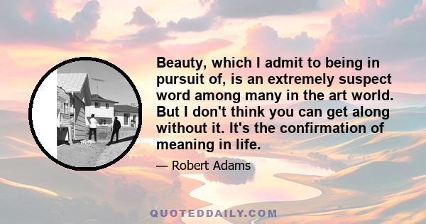 Beauty, which I admit to being in pursuit of, is an extremely suspect word among many in the art world. But I don't think you can get along without it. It's the confirmation of meaning in life.