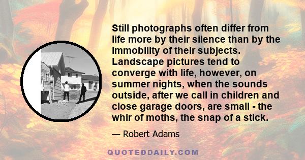 Still photographs often differ from life more by their silence than by the immobility of their subjects. Landscape pictures tend to converge with life, however, on summer nights, when the sounds outside, after we call