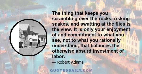 The thing that keeps you scrambling over the rocks, risking snakes, and swatting at the flies is the view. It is only your enjoyment of and commitment to what you see, not to what you rationally understand, that