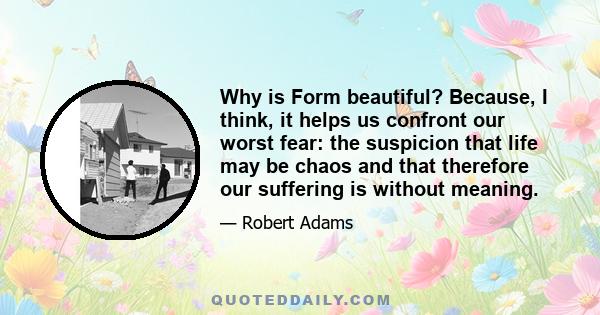 Why is Form beautiful? Because, I think, it helps us confront our worst fear: the suspicion that life may be chaos and that therefore our suffering is without meaning.