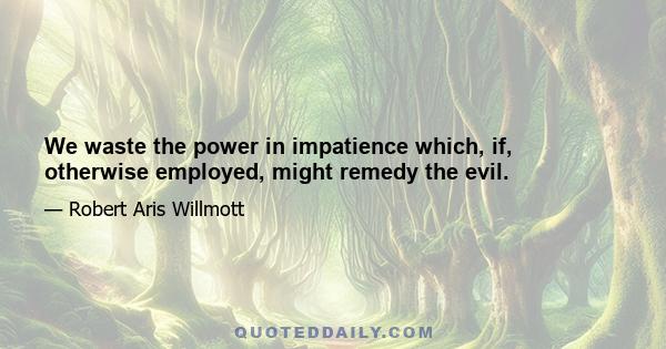 We waste the power in impatience which, if, otherwise employed, might remedy the evil.