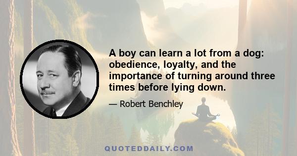 A boy can learn a lot from a dog: obedience, loyalty, and the importance of turning around three times before lying down.