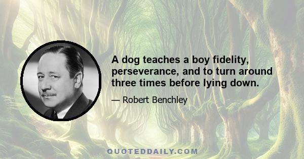 A dog teaches a boy fidelity, perseverance, and to turn around three times before lying down.