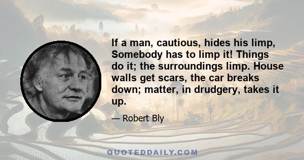 If a man, cautious, hides his limp, Somebody has to limp it! Things do it; the surroundings limp. House walls get scars, the car breaks down; matter, in drudgery, takes it up.