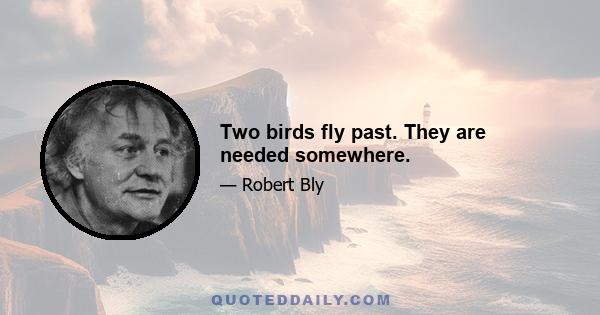 Two birds fly past. They are needed somewhere.